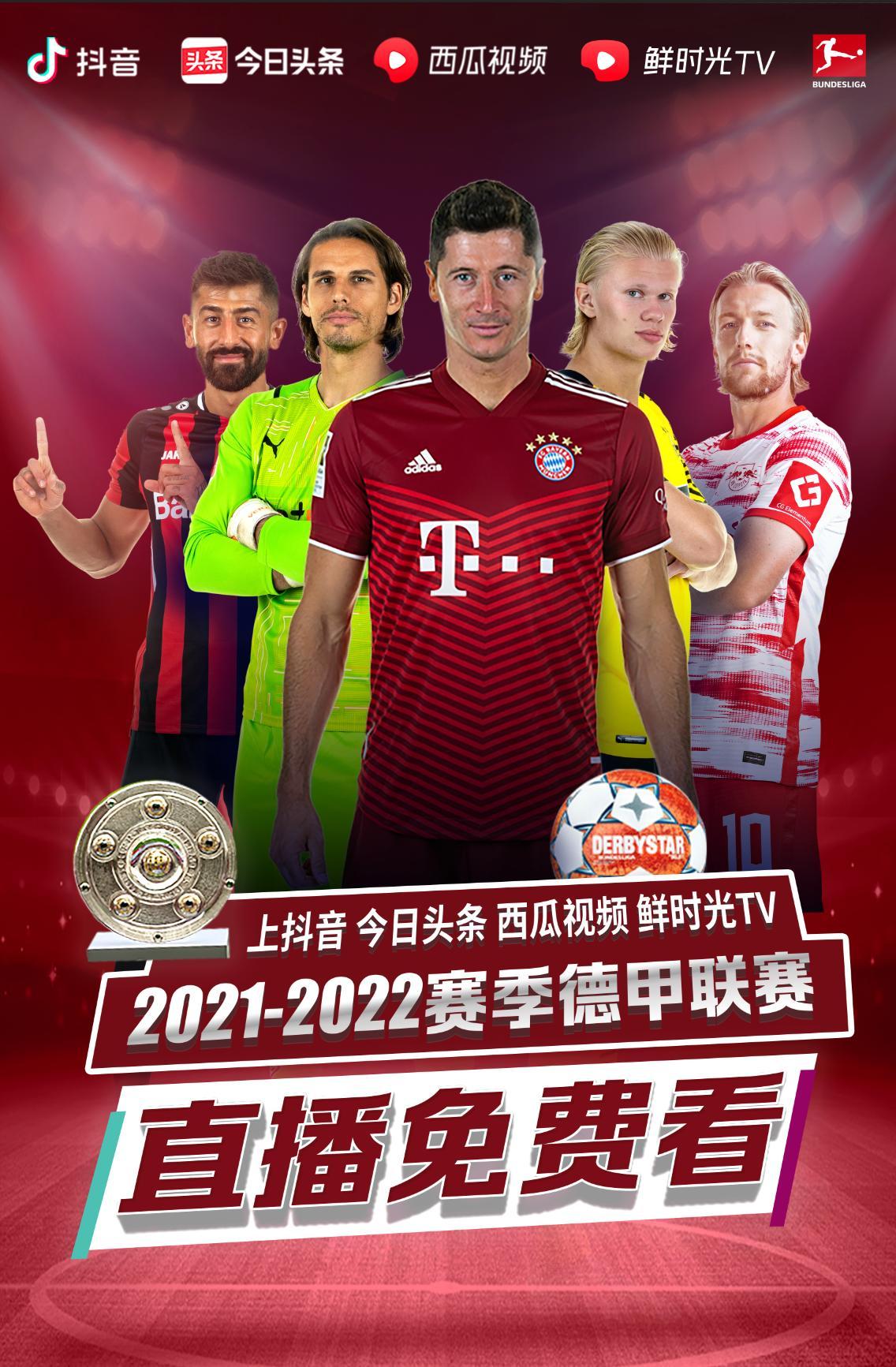 功案例无疑