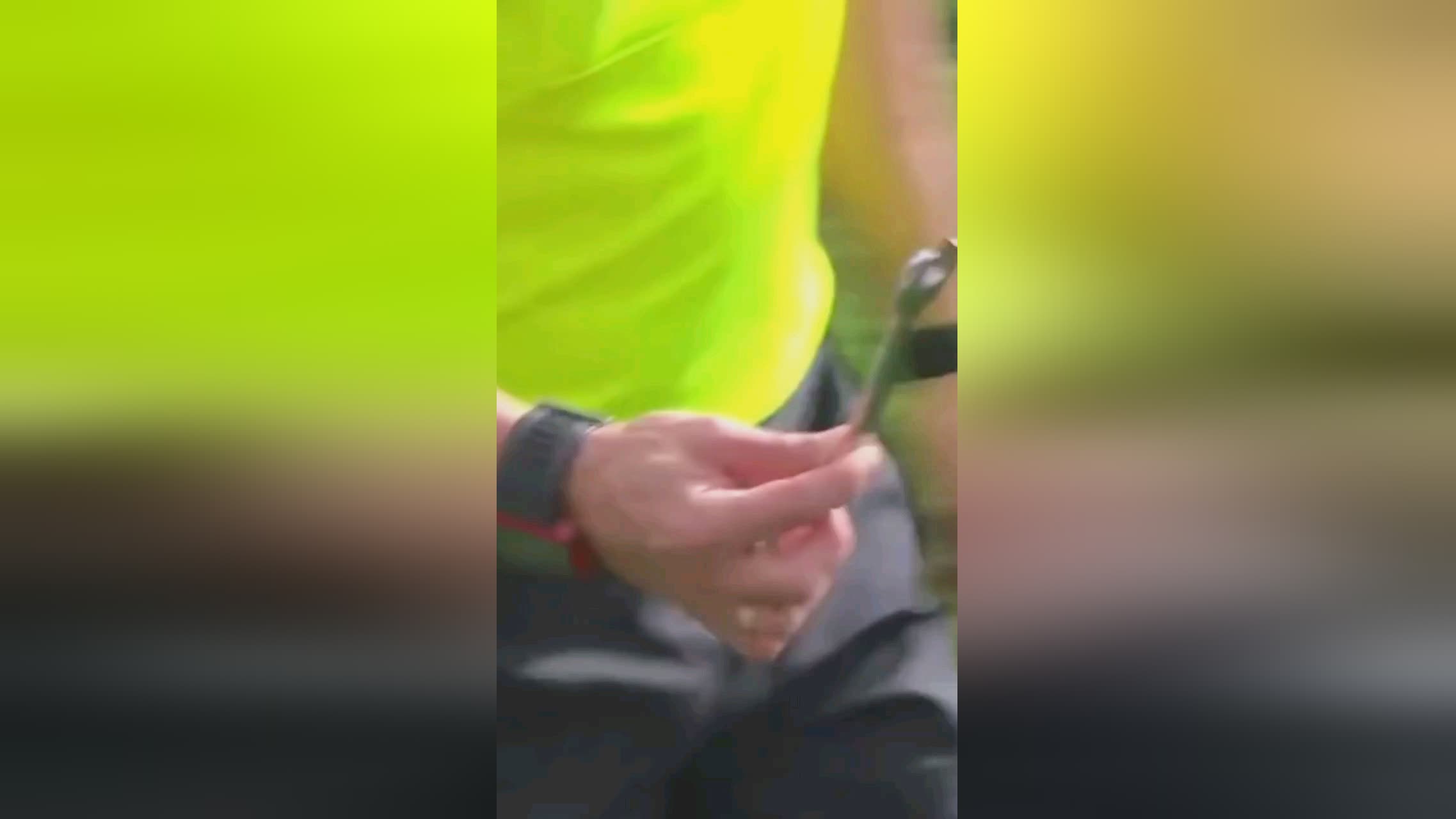 多的上